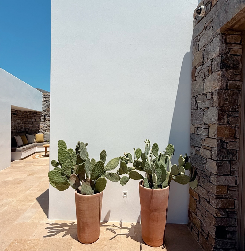 -Evripiotis Architects