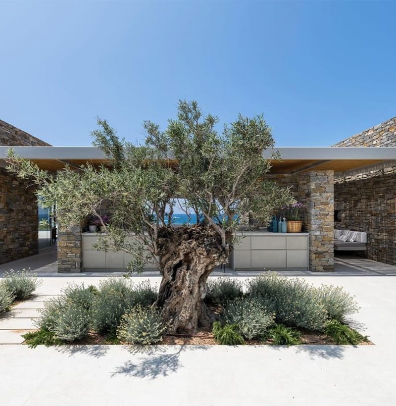 open-house-insta-evripiotis_01-Evripiotis Architects